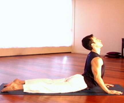 Brian Leaf The Yoga Diaries